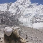 Everest Base Camp Trekking Tour 4